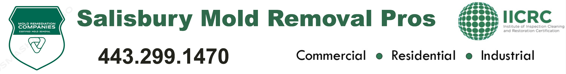 Salisbury Mold Removal Pros